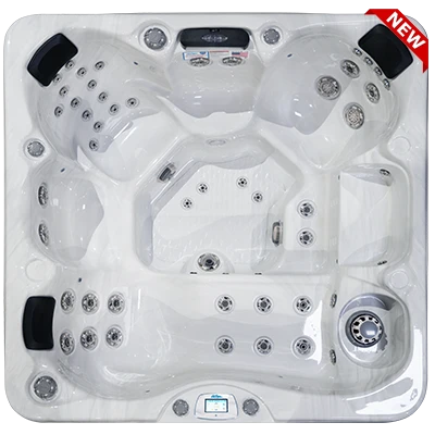 Avalon-X EC-849LX hot tubs for sale in Ames