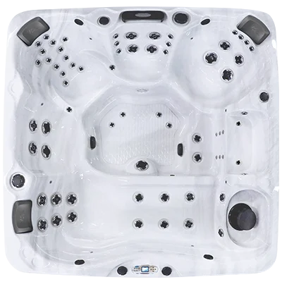 Avalon EC-867L hot tubs for sale in Ames
